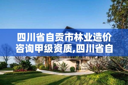 四川省自贡市林业造价咨询甲级资质,四川省自贡市林业造价咨询甲级资质公司