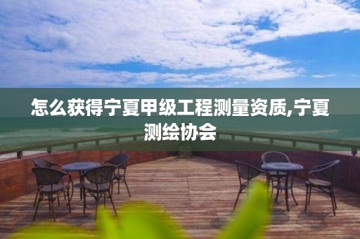 怎么获得宁夏甲级工程测量资质,宁夏测绘协会
