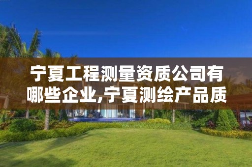 宁夏工程测量资质公司有哪些企业,宁夏测绘产品质量监督检验站