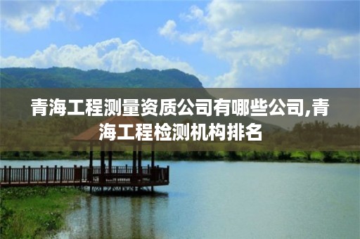 青海工程测量资质公司有哪些公司,青海工程检测机构排名