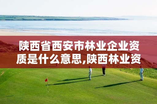 陕西省西安市林业企业资质是什么意思,陕西林业资源