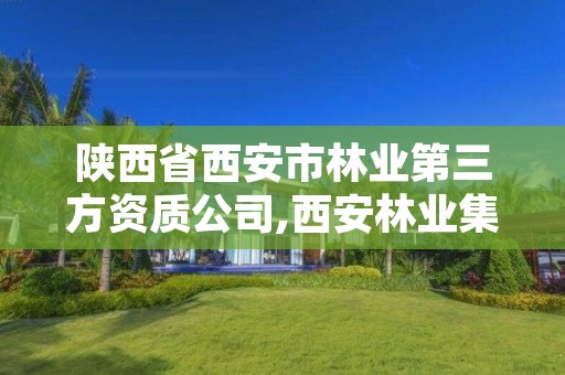 陕西省西安市林业第三方资质公司,西安林业集团公司待遇怎么样