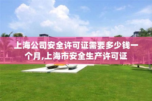 上海公司安全许可证需要多少钱一个月,上海市安全生产许可证
