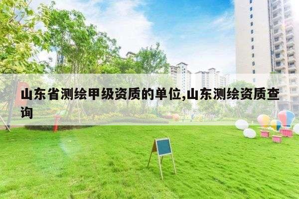 山东省测绘甲级资质的单位,山东测绘资质查询