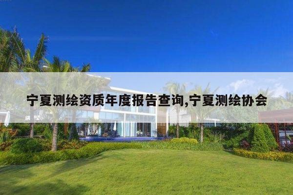 宁夏测绘资质年度报告查询,宁夏测绘协会