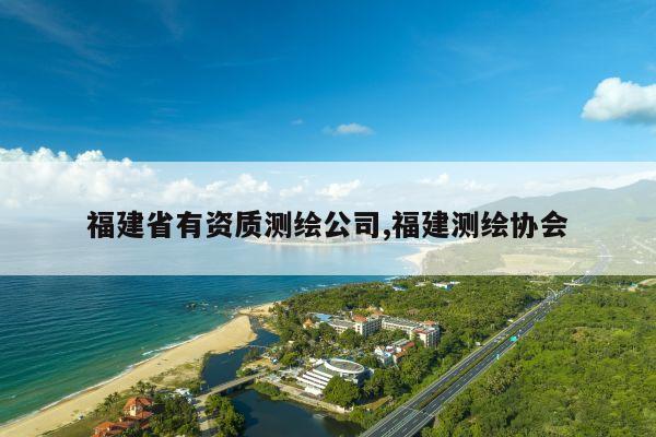 福建省有资质测绘公司,福建测绘协会