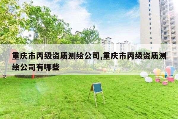 重庆市丙级资质测绘公司,重庆市丙级资质测绘公司有哪些