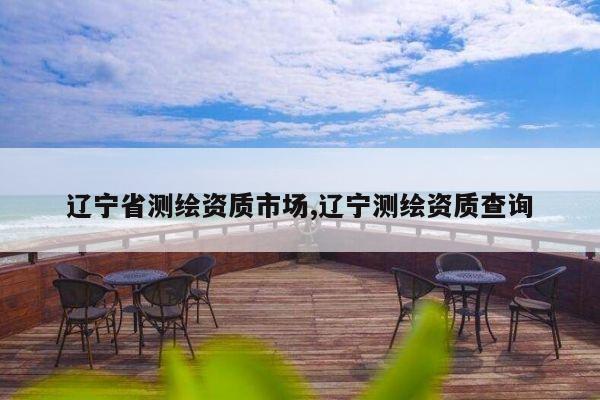 辽宁省测绘资质市场,辽宁测绘资质查询