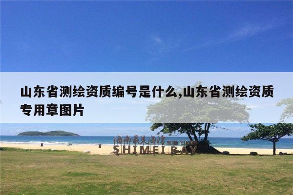 山东省测绘资质编号是什么,山东省测绘资质专用章图片