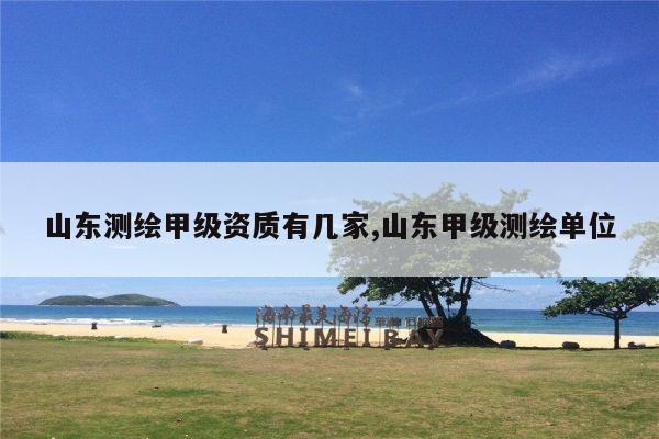 山东测绘甲级资质有几家,山东甲级测绘单位