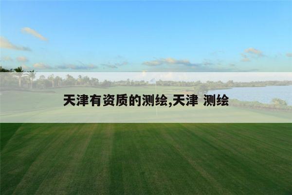 天津有资质的测绘,天津 测绘