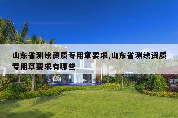 山东省测绘资质专用章要求,山东省测绘资质专用章要求有哪些