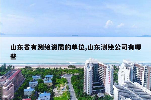山东省有测绘资质的单位,山东测绘公司有哪些