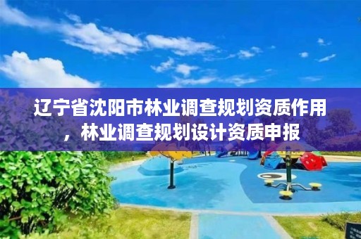 辽宁省沈阳市林业调查规划资质作用，林业调查规划设计资质申报