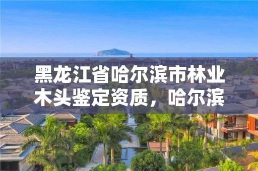 黑龙江省哈尔滨市林业木头鉴定资质,哈尔滨市木材加工厂