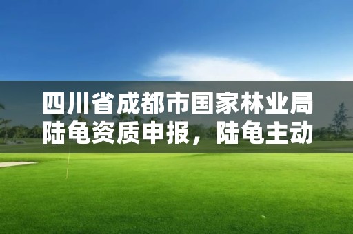 四川省成都市国家林业局陆龟资质申报，陆龟主动上交林业局