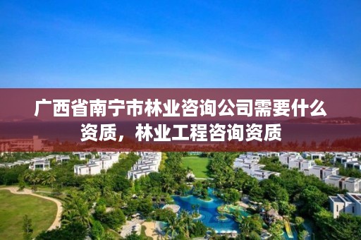 广西省南宁市林业咨询公司需要什么资质，林业工程咨询资质