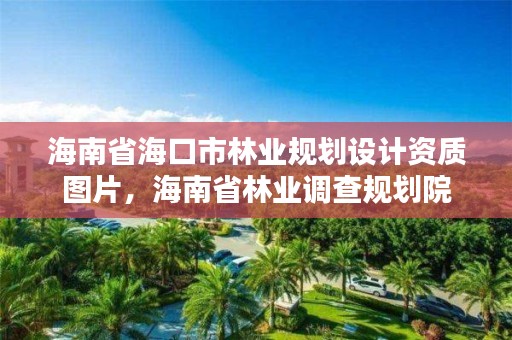 海南省海口市林业规划设计资质图片,海南省林业调查规划院