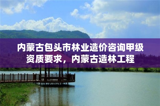 内蒙古包头市林业造价咨询甲级资质要求，内蒙古造林工程