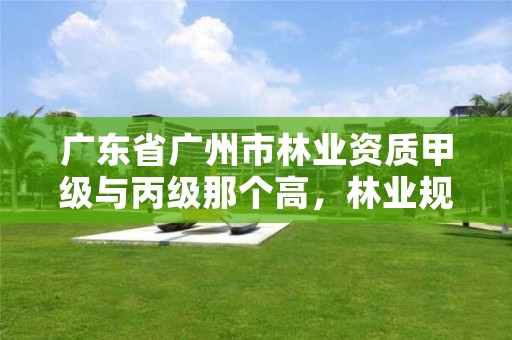 广东省广州市林业资质甲级与丙级那个高，林业规划甲级资质单位
