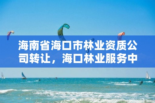 海南省海口市林业资质公司转让,海口林业服务中心
