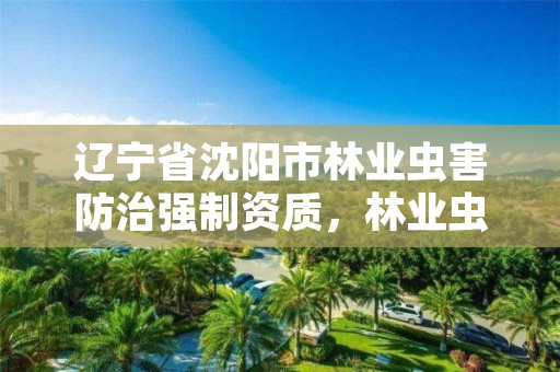 辽宁省沈阳市林业虫害防治强制资质，林业虫害治理公司