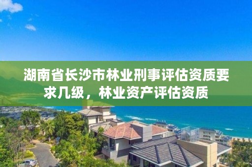 湖南省长沙市林业刑事评估资质要求几级,林业资产评估资质