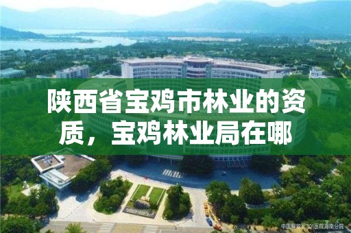 陕西省宝鸡市林业的资质,宝鸡林业局在哪
