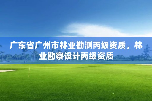 广东省广州市林业勘测丙级资质，林业勘察设计丙级资质