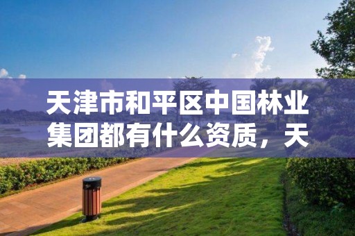 天津市和平区中国林业集团都有什么资质，天津市和平区中国林业集团都有什么资质企业