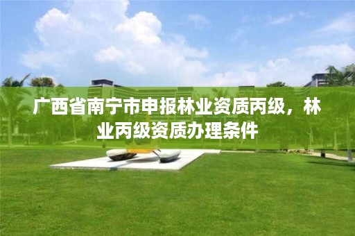 广西省南宁市申报林业资质丙级，林业丙级资质办理条件