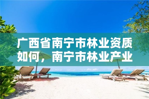 广西省南宁市林业资质如何，南宁市林业产业行业协会