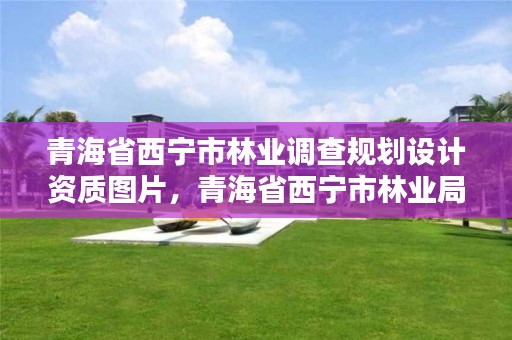 青海省西宁市林业调查规划设计资质图片，青海省西宁市林业局