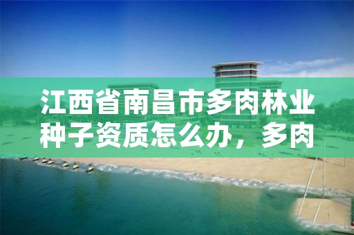江西省南昌市多肉林业种子资质怎么办,多肉种植基地批发