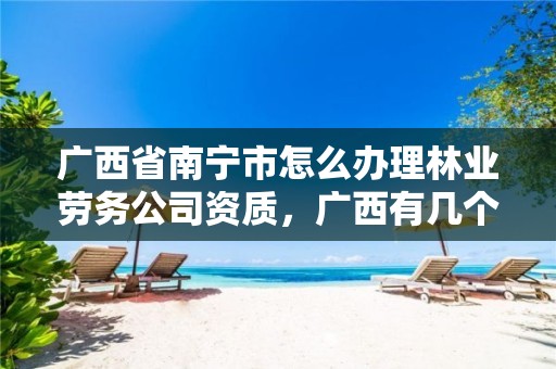 广西省南宁市怎么办理林业劳务公司资质，广西有几个林业公司