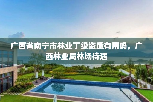 广西省南宁市林业丁级资质有用吗，广西林业局林场待遇