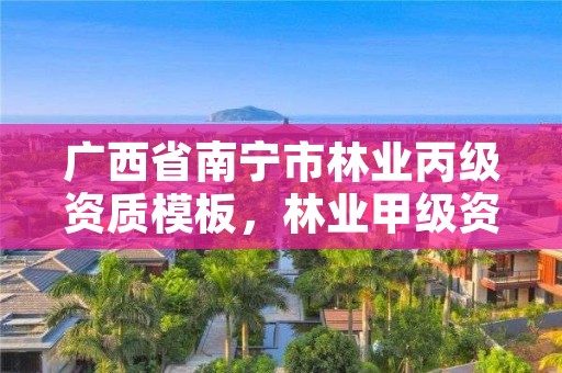 广西省南宁市林业丙级资质模板，林业甲级资质