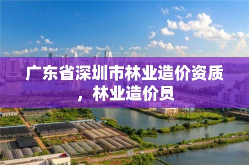 广东省深圳市林业造价资质,林业造价员