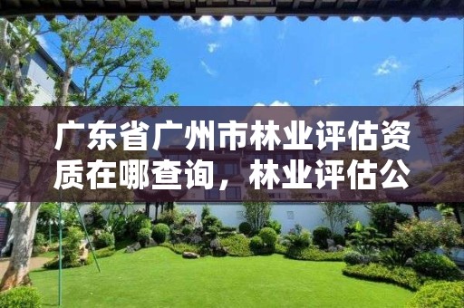 广东省广州市林业评估资质在哪查询，林业评估公司资质