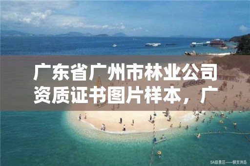 广东省广州市林业公司资质证书图片样本，广州林业局在哪里