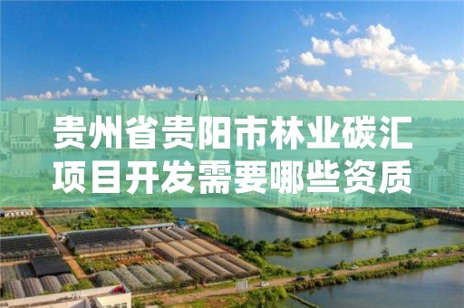 贵州省贵阳市林业碳汇项目开发需要哪些资质,林业碳汇项目pdd