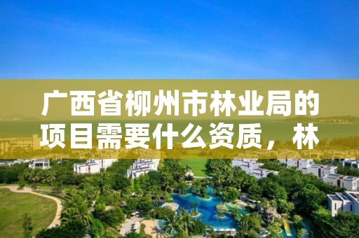 广西省柳州市林业局的项目需要什么资质，林业局有什么工程项目可以做