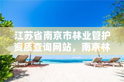 江苏省南京市林业管护资质查询网站,南京林业管理局