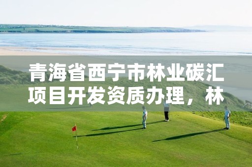 青海省西宁市林业碳汇项目开发资质办理，林业碳汇项目公司