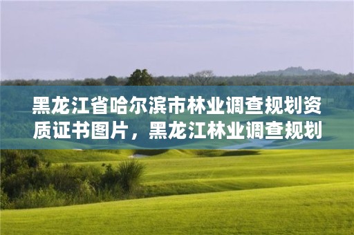 黑龙江省哈尔滨市林业调查规划资质证书图片,黑龙江林业调查规划设计院