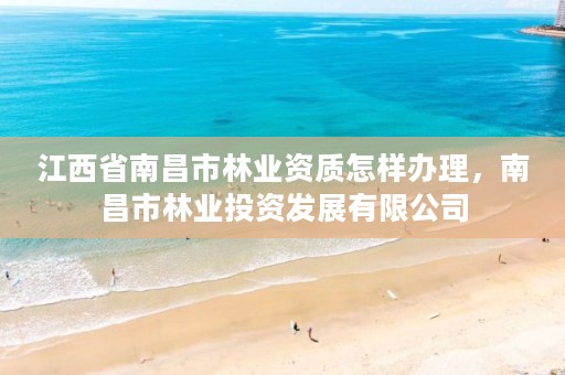 江西省南昌市林业资质怎样办理，南昌市林业投资发展有限公司