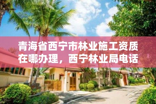青海省西宁市林业施工资质在哪办理，西宁林业局电话号码