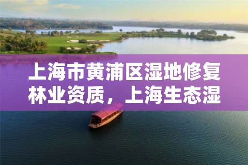 上海市黄浦区湿地修复林业资质，上海生态湿地