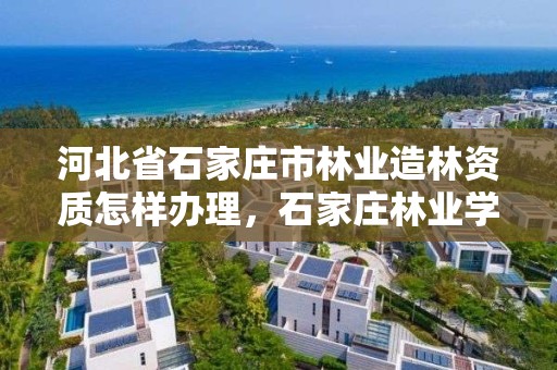 河北省石家庄市林业造林资质怎样办理,石家庄林业学校