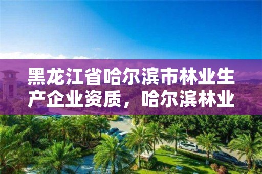 黑龙江省哈尔滨市林业生产企业资质,哈尔滨林业局管辖范围